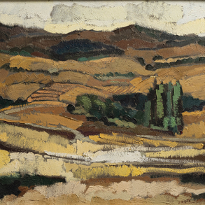 ‘Campos de Salamanca’