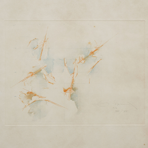 Lot 564