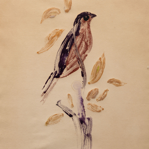 ‘Bird’